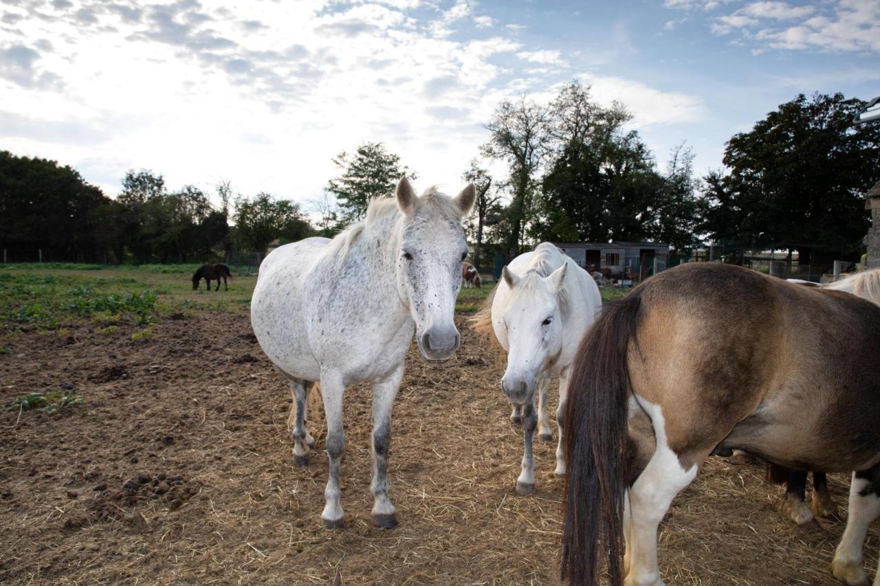 Appartamento La Ferme Des Nonains Montjavoult Esterno foto