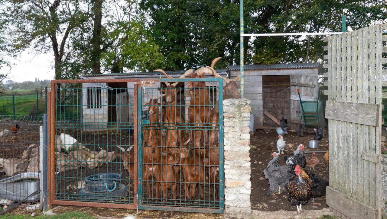 Appartamento La Ferme Des Nonains Montjavoult Esterno foto